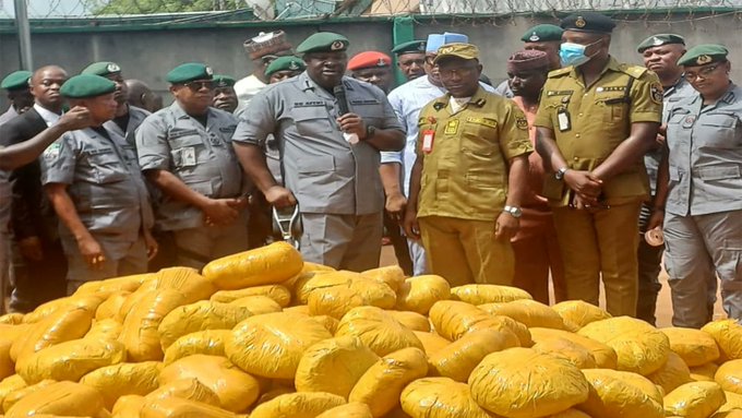 Seized Ghana loud (cannabis) by Ogun State Custom